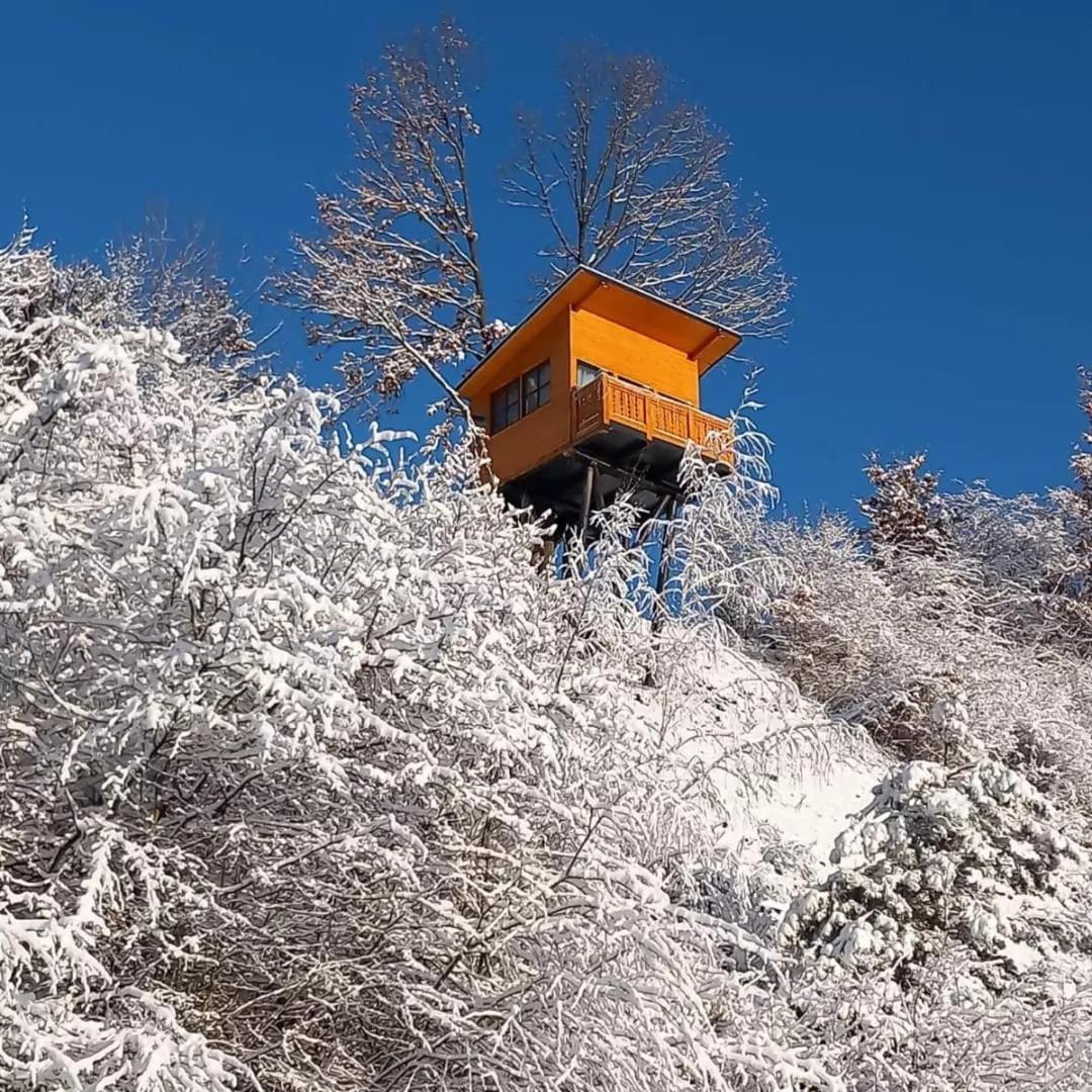 Mosia Dar In Rai Appartement Berbesti Buitenkant foto